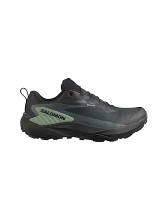 SALOMON | Herren Traillaufschuhe Genesis GTX | 